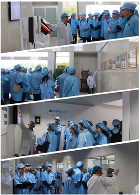 聚享綠色能源，共筑智能未來——SMA揚中工廠開放日活動圓滿落幕